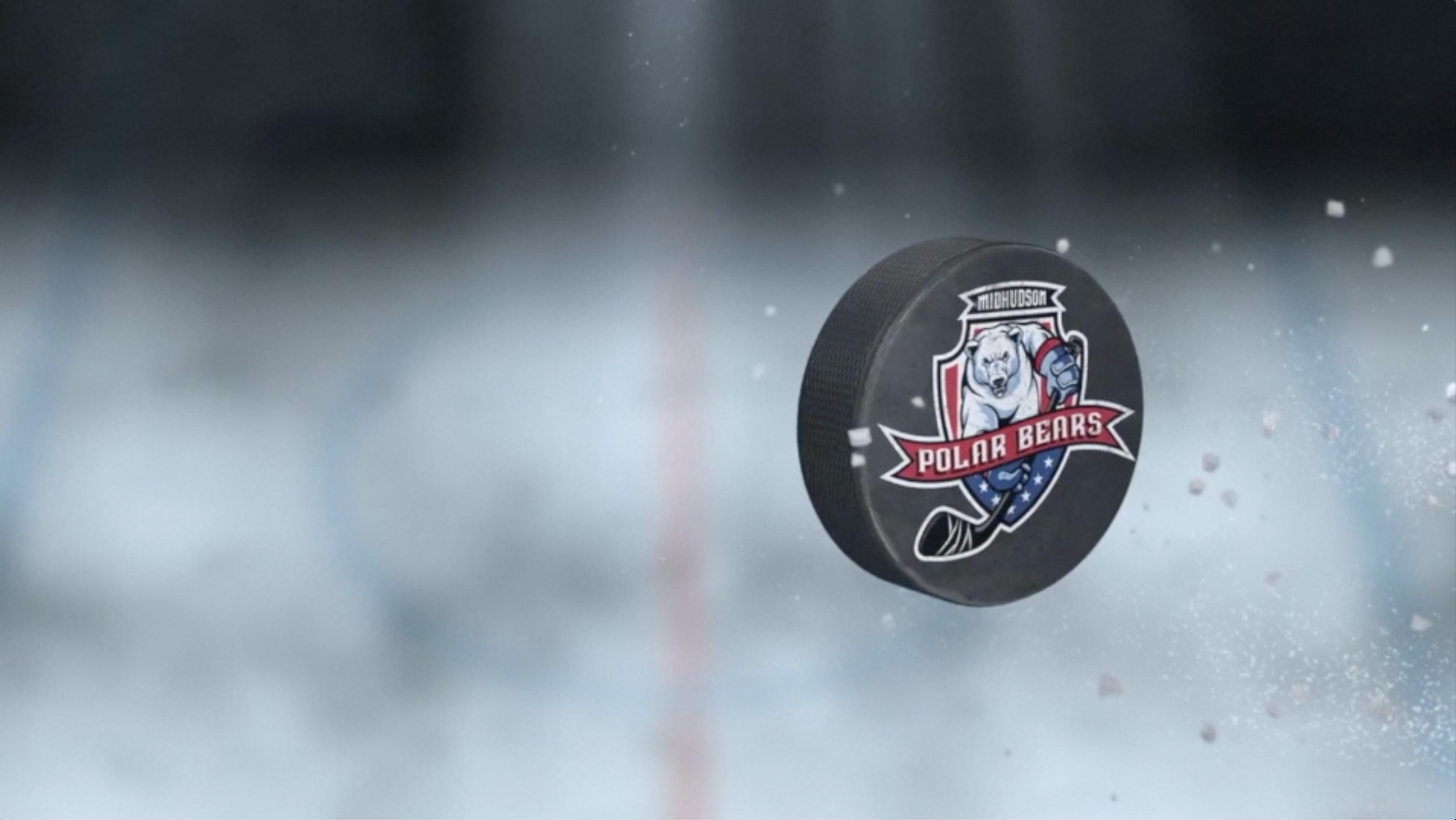 hockey-snapshot hockey puck with logo