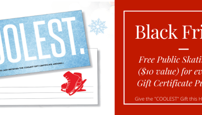 Black Friday Promotion
