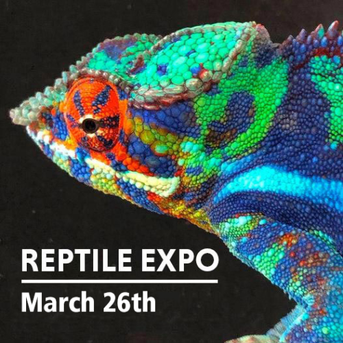 Reptile Expo March 26th Mid Hudson Civic Center inc.