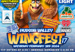 HV Wingfest 17